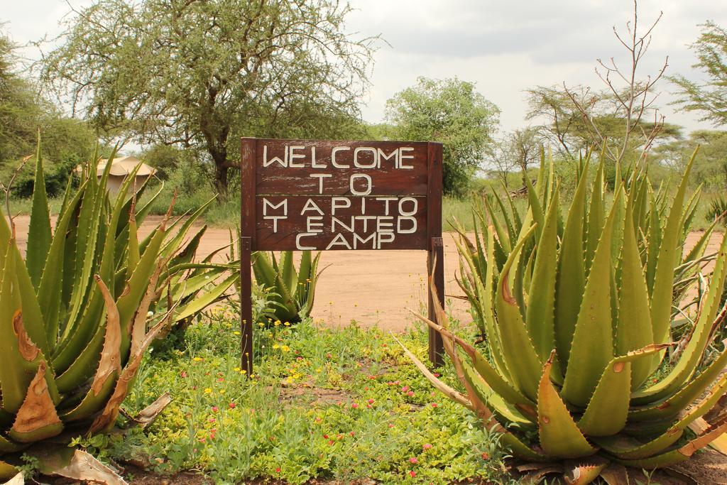 Mapito Tented Camp Serengeti Exteriör bild