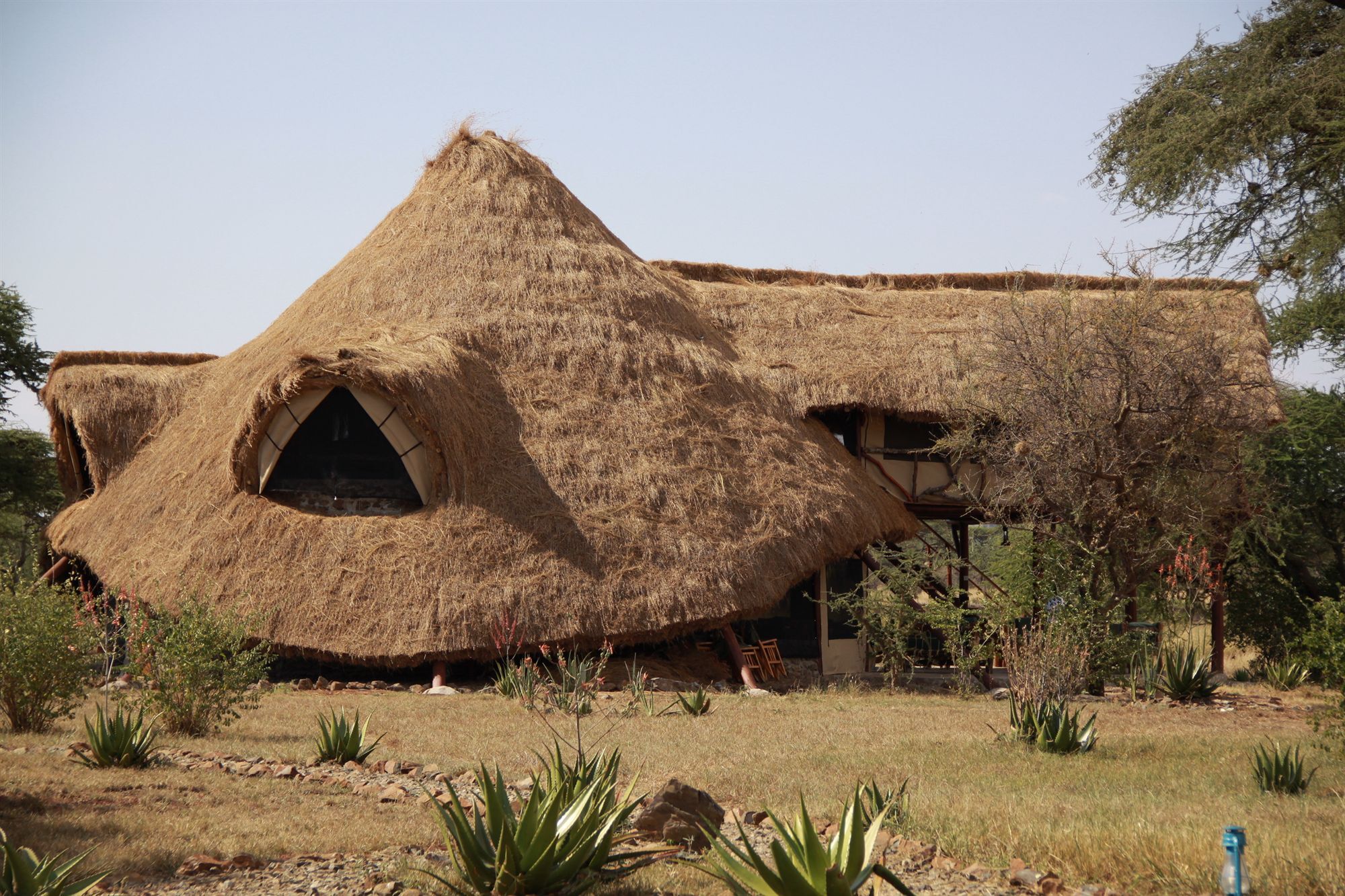 Mapito Tented Camp Serengeti Exteriör bild