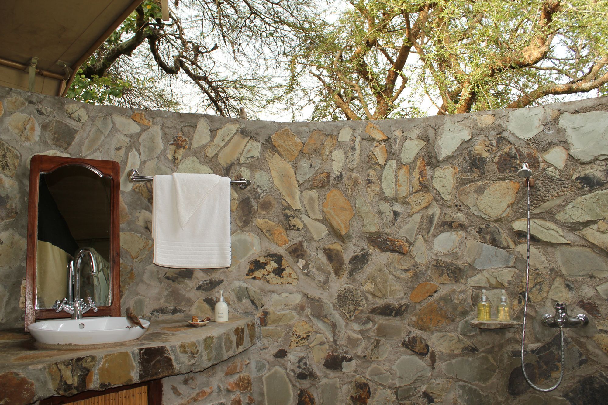 Mapito Tented Camp Serengeti Exteriör bild